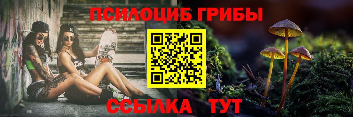 Галлюциногенные грибы Magic Shrooms Кисловодск